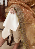 Hussain Rehar | Luxury Pret A/W '24 | Paara - House of Faiza